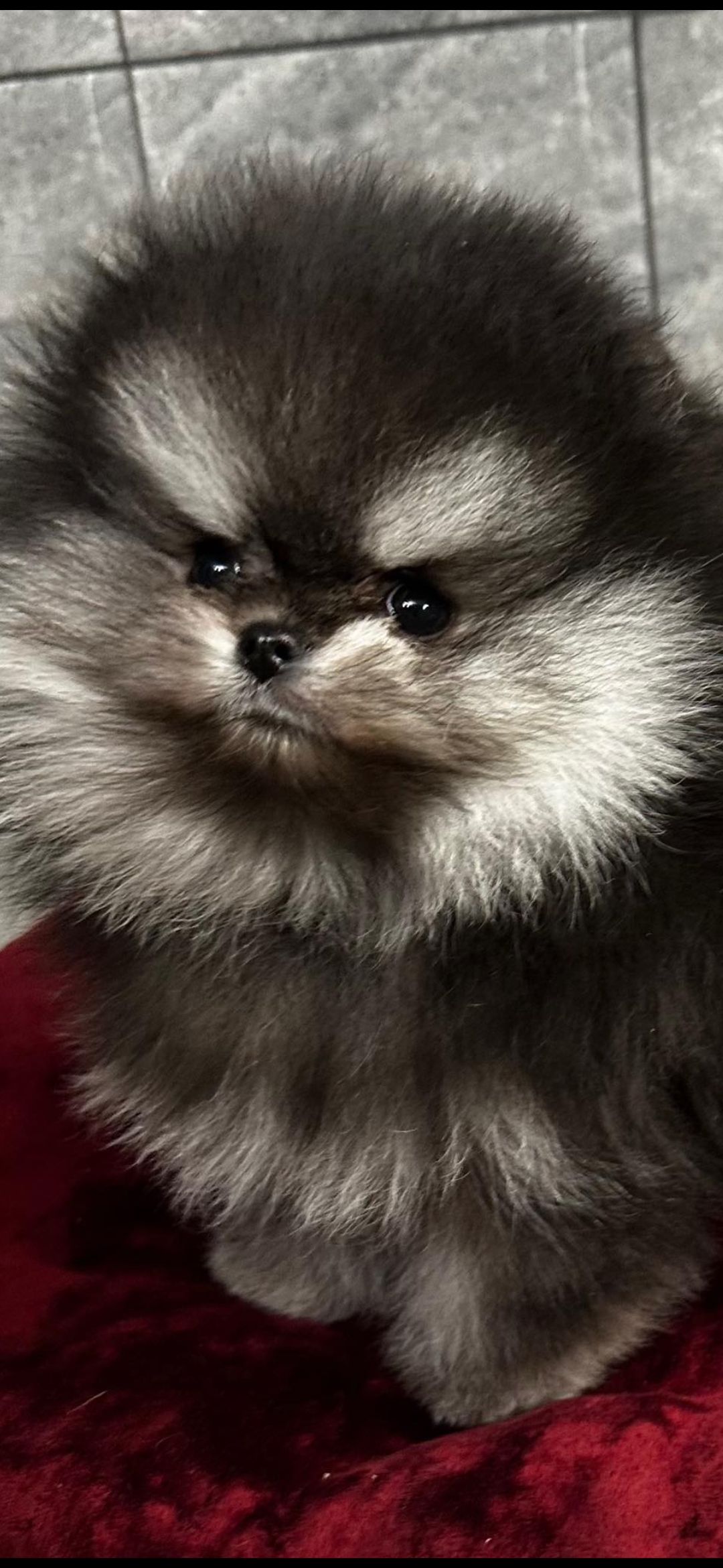 Screenshot_20260109_171033_Messenger